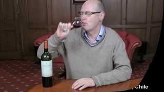 Carmen Grand Reserva Carmenere 2011 Chile wine review [upl. by Baoj774]