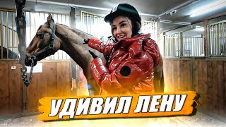 Дорогие подсолнухи  Подарок Лене на день рождения  KRUssia 165 [upl. by Enivid]