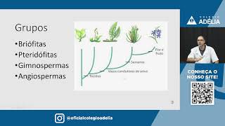 Botânica Introdução ao Reino Plantae [upl. by Nnuahs]