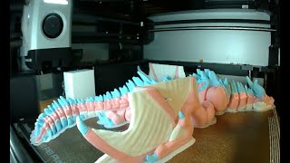 3D Printing Dragon LIVE [upl. by Sinnek]