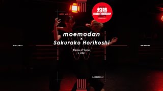 灼熱LESSON 2024  moemodan×Sakurako Horikoshi quot Blades of Venus  L VDF【DANCEWORKS】 [upl. by Norahc]