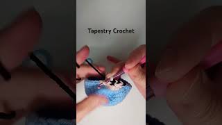 Tapestry Crochet crochet tapestry tapestrycrochet tutorial crochettutorial [upl. by Magnolia255]