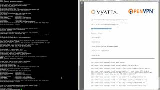 5 Minute Vyatta OpenVPN Server Setup [upl. by Minton]