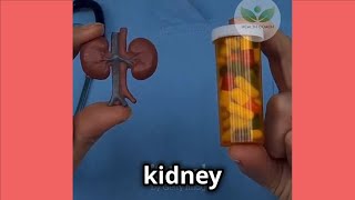 Healthy Habits for Kidneys Simple Daily Tips for Stronger Kidneys shorts [upl. by Pitzer521]