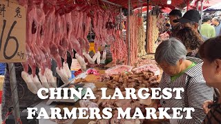 CHINA’S LARGEST FARMER’S MARKET IN 2024  MORE THAN WHAT YOU EXPECTED [upl. by Creigh847]