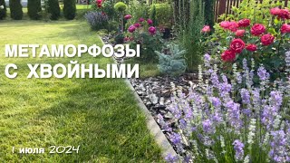 НОВИНКИ В ХВОЙНУЮ КОЛЛЕКЦИЮ ЕЛИ ПОСИНЕЛИ  ЕЛЬ ЛАКИ СТРАЙК СОСНА ПИРАМИДАЛИС [upl. by Nyrret447]