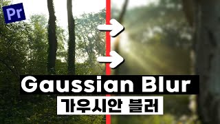 프리미어프로 효과 초간단 블러 효과  Gaussian Blur  가우시안 블러 [upl. by Las]