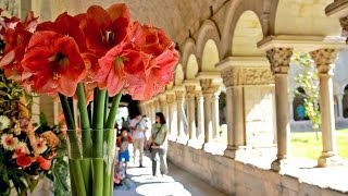 Girona Temps de Flors  Costa Brava turismo  Tour por la ciudad flores en las calles [upl. by Gualterio]