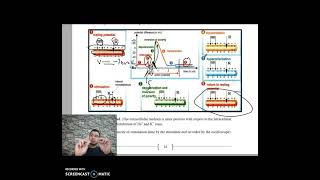 Action potential part 1 G 10 amp SE [upl. by Gowon]