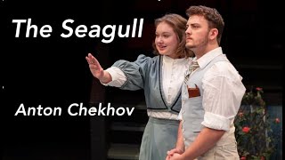 The Seagull [upl. by Ongineb]