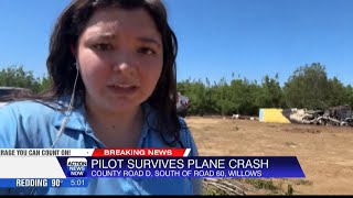 Pilot walks away with minor injuries following Willows plane crash [upl. by Backler984]