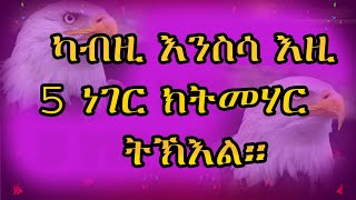 eritrean motivation kebron tub kab nsri entay nmehar ንስሪ [upl. by Nananne]