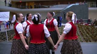 Folk Dance from Zemplin Eastern Slovakia [upl. by Barr268]