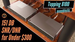 Topping B100 Tangkula Power Mono Amps Review [upl. by Theda328]