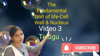 The Fundamental Unit of life class 9 CBSE Biology l Cell wall and Nucleus l [upl. by Cira]