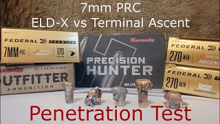 7mm PRC  Hornady ELDX vs Federal Terminal Ascent  Penetration Test Part 1 of 3 [upl. by Noramac473]