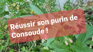 Comment réussir son purin de Consoude [upl. by Anjanette432]