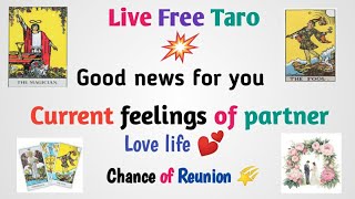 Live Taro 💐 Aapka Partner kuchh kahna chahata hai Aaj [upl. by Tyika]