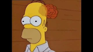 The Simpsons Homers Brain Compilation [upl. by Yenhoj115]