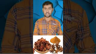 அன்னாசிபூ நன்மைகள்  Star Anise Benefits  Star Anise Uses staranise health healthy shorts [upl. by Gabrielson237]