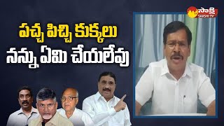 Govt Whip Kapu Ramachandra Reddy Counter to Kalava Srinivasulu  TDP Yellow Media SakshiTV [upl. by Ahsiyn]