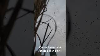 Kansas 5 man lesser hunt chaos geese waterfowl hunting kansas [upl. by Lobiv]