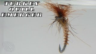 Fly tying Turkey quill emerger dry fly [upl. by Teador]