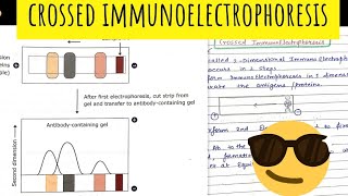 Crossed Immunoelectrophoresis 😎😎Immunotechniques [upl. by Hillery669]