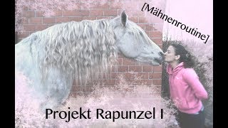 Mähnenroutine  Projekt Rapunzel I [upl. by Idnew]