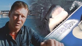 Great White Shark Attack Interview with Rainer Schimpf Exclusive Video [upl. by Mcclenaghan]