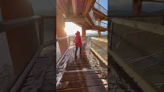 Walking at Malahat Skywalk [upl. by Albion]