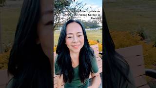 HMONG INSPIRING CHANNELPart 2 Update on the Hmong Garden of Eden in Wauchula FL Sept 2024 [upl. by Nivonod]