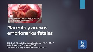 PLACENTA  ANEXOS EMBRIONARIOS FETALES [upl. by Brie]