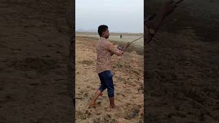 fishing आज का काला मरल का शिकारsnakeheadfish bigfish aajkasamachhar [upl. by Emmons481]