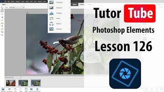 Photoshop Elements Tutorial  Lesson 126  Enhance Facial Features [upl. by Nanfa]