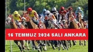 16 TEMMUZ 2024 SALI ANKARA AT YARIŞI TAHMİNLERİ VE YORUMLARI [upl. by Koziarz]