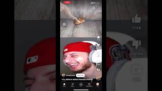 cat funny memes reaction gaming ytshorts youtubeshorts meme tiktok [upl. by Shirlene322]