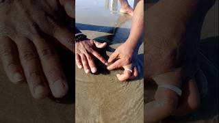 Unbelievable Catching with Empty Hand fishing fishingvideos seafishing thoondilulagam [upl. by Nylram753]