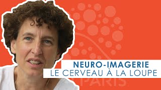 Neuroimagerie  le cerveau à la loupe [upl. by Enilegna]