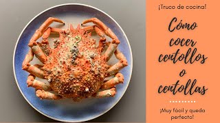 CÓMO COCER CENTOLLO O CENTOLLA🦀 Todos los TRUCOS para que te quede PERFECTO👩‍🍳 [upl. by Fafa]