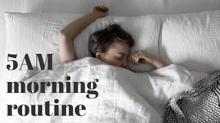 Waking Up At 5AM  My Healthy Morning Routine [upl. by Nyer]