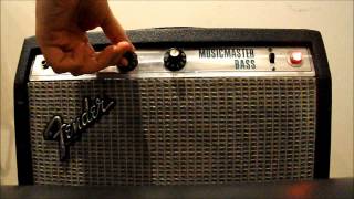 Fender Musicmaster Bass amp  buzz [upl. by Adama]