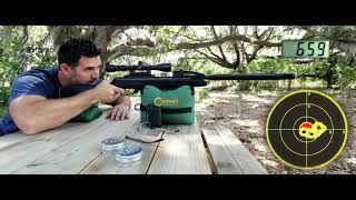 GAMO Swarm 10X Technology  10 Quick Shots From A Breakbarrel Air Rifle [upl. by Ettesel]