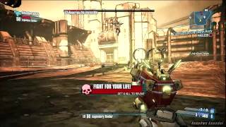 Borderlands 2 Hyperius the Invincible  Bee  Fibber Tutorial HD TVHM Dezember 2012 [upl. by Hnacogn]