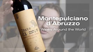 Lets Try Montepulcian dAbruzzo Wines Around the World [upl. by Ahidam]