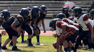 Lemoore Purple vs Woodlake  Week 4 [upl. by Rafaelita]