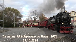 Harzer Schmalspurbahn im Herbst 2024 31102024 4K [upl. by Clarie]