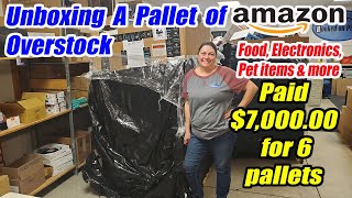 Unboxing a pallet of Amazon overstock  I paid 700000 It had food Electronics pet items and more [upl. by Eltsyek]