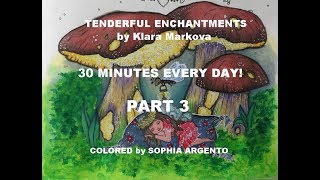 30 MINUTES EVERY DAYPART 3TENDERFUL ENCHANTMENTS [upl. by Aikemal]