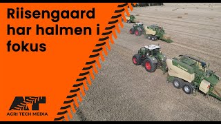 🇩🇰 Riisengaard har halmen i fokus [upl. by Karlie]